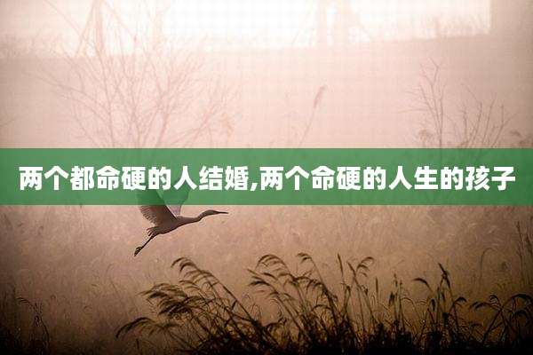 两个都命硬的人结婚,两个命硬的人生的孩子