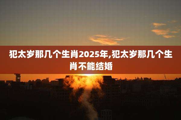 犯太岁那几个生肖2025年,犯太岁那几个生肖不能结婚