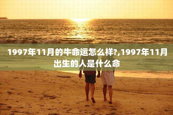 1997年11月的牛命运怎么样?,1997年11月出生的人是什么命