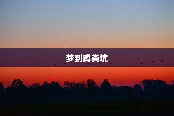 梦到蹲粪坑