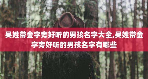 吴姓带金字旁好听的男孩名字大全,吴姓带金字旁好听的男孩名字有哪些