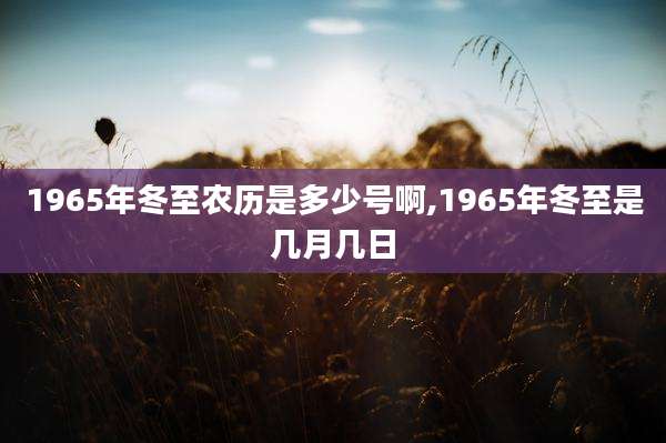 1965年冬至农历是多少号啊,1965年冬至是几月几日