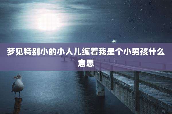 梦见特别小的小人儿缠着我是个小男孩什么意思