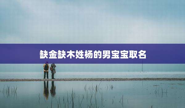 缺金缺木姓杨的男宝宝取名