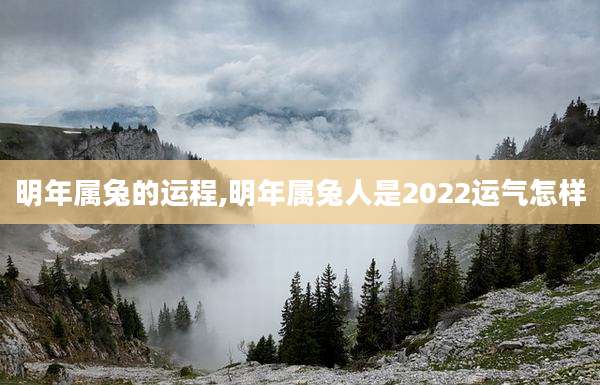 明年属兔的运程,明年属兔人是2022运气怎样