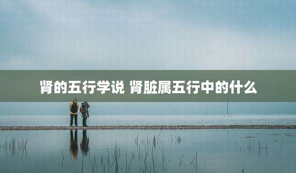 肾的五行学说 肾脏属五行中的什么