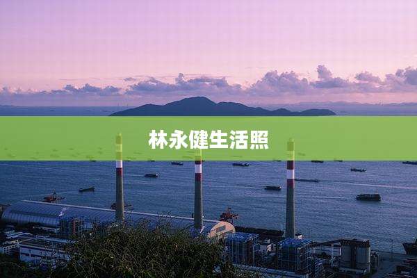 林永健生活照