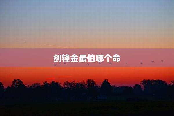 剑锋金最怕哪个命
