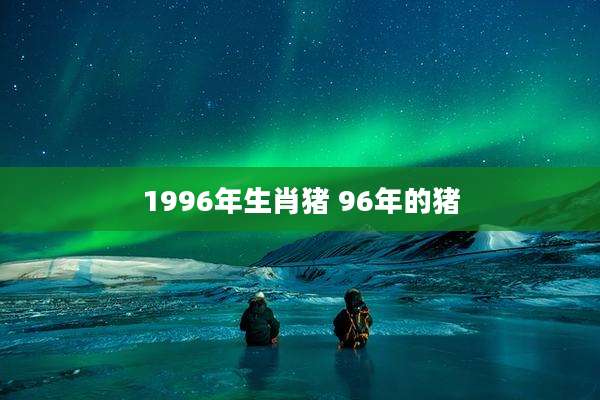 1996年生肖猪 96年的猪