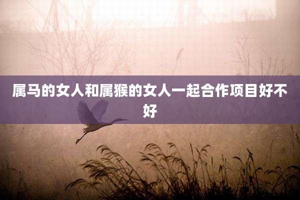 属马的女人和属猴的女人一起合作项目好不好