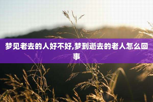 梦见老去的人好不好,梦到逝去的老人怎么回事