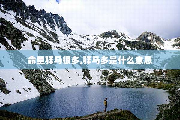 命里驿马很多,驿马多是什么意思