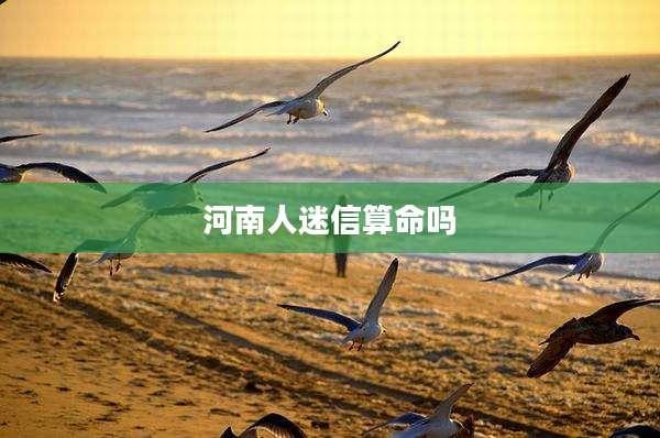 河南人迷信算命吗