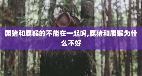 属猪和属猴的不能在一起吗,属猪和属猴为什么不好
