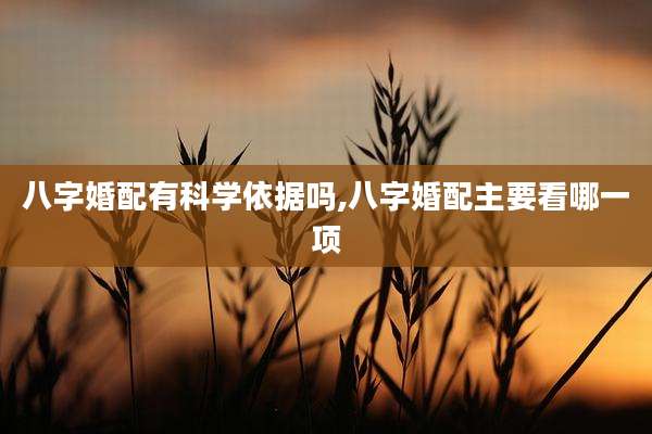 八字婚配有科学依据吗,八字婚配主要看哪一项