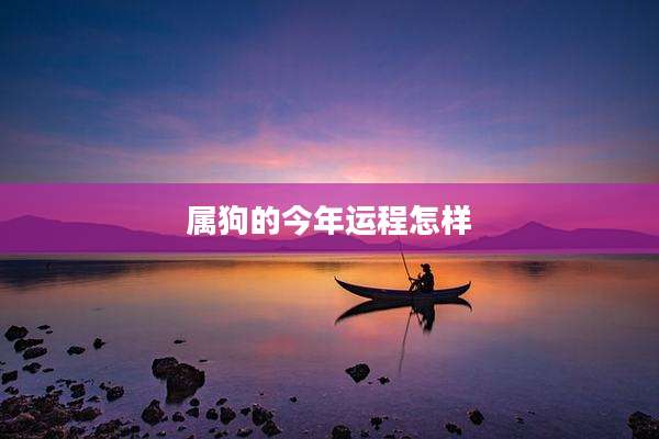 属狗的今年运程怎样