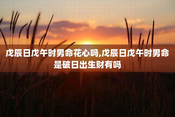 戊辰日戊午时男命花心吗,戊辰日戊午时男命是破日出生财有吗