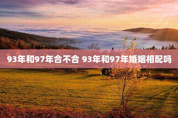 93年和97年合不合 93年和97年婚姻相配吗