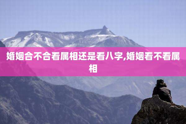 婚姻合不合看属相还是看八字,婚姻看不看属相