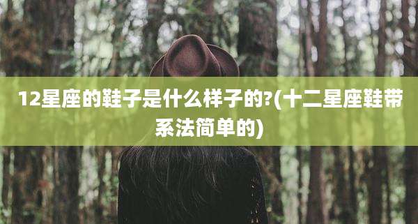 12星座的鞋子是什么样子的?(十二星座鞋带系法简单的)