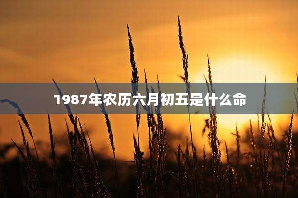 1987年农历六月初五是什么命