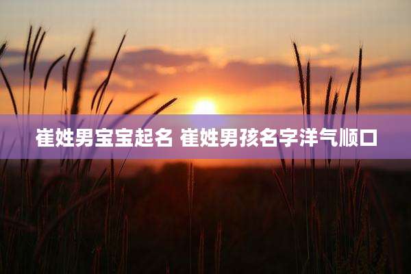 崔姓男宝宝起名 崔姓男孩名字洋气顺口