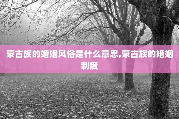 蒙古族的婚姻风俗是什么意思,蒙古族的婚姻制度
