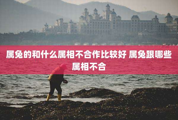 属兔的和什么属相不合作比较好 属兔跟哪些属相不合