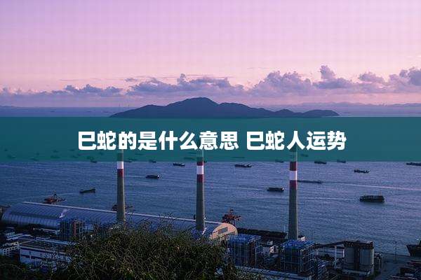 巳蛇的是什么意思 巳蛇人运势
