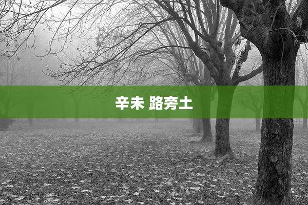 辛未 路旁土