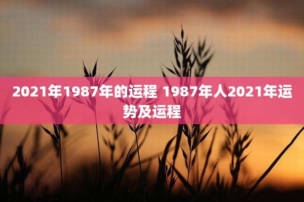 2021年1987年的运程 1987年人2021年运势及运程