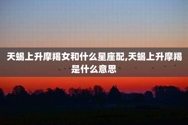 天蝎上升摩羯女和什么星座配,天蝎上升摩羯是什么意思