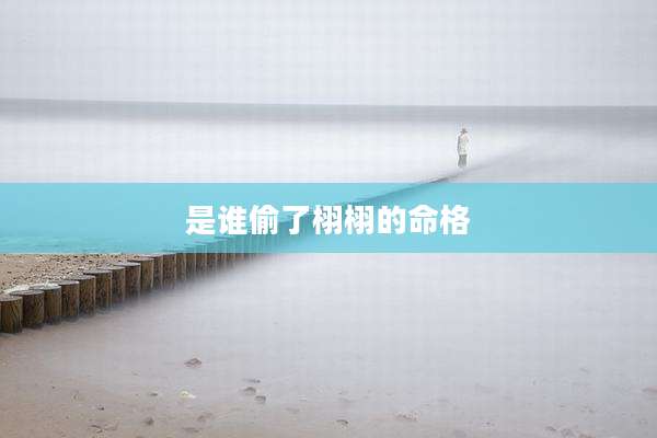 是谁偷了栩栩的命格