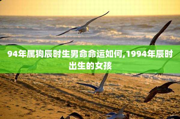 94年属狗辰时生男命命运如何,1994年辰时出生的女孩