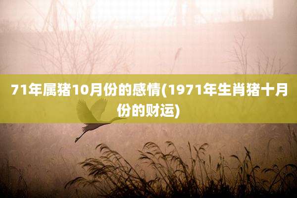 71年属猪10月份的感情(1971年生肖猪十月份的财运)