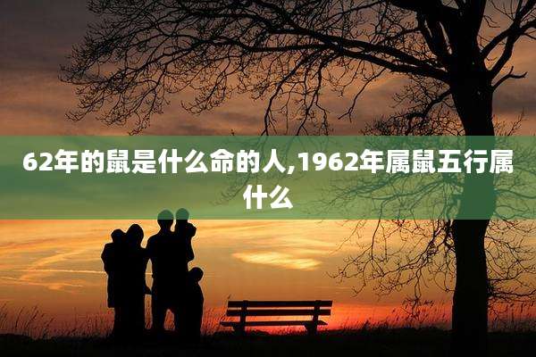 62年的鼠是什么命的人,1962年属鼠五行属什么