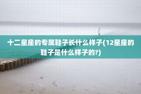十二星座的专属鞋子长什么样子(12星座的鞋子是什么样子的?)