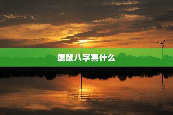 属鼠八字喜什么