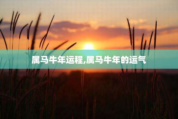 属马牛年运程,属马牛年的运气