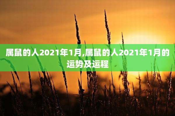 属鼠的人2021年1月,属鼠的人2021年1月的运势及运程