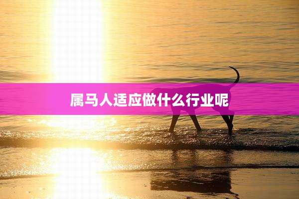 属马人适应做什么行业呢