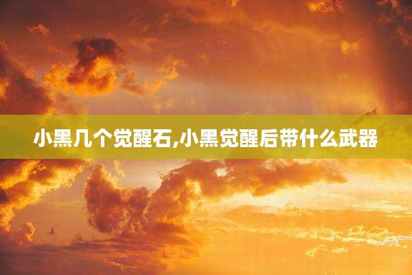 小黑几个觉醒石,小黑觉醒后带什么武器
