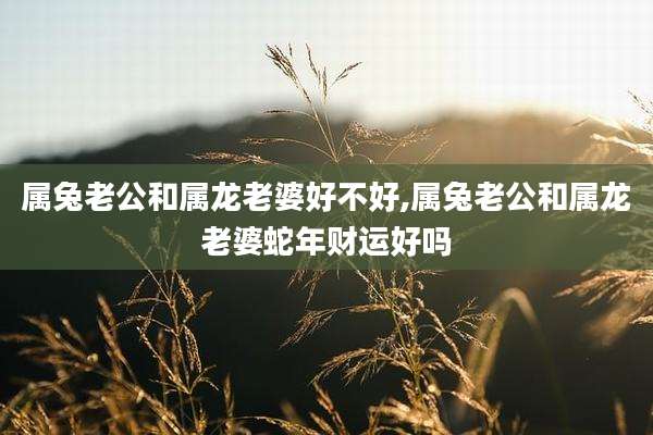 属兔老公和属龙老婆好不好,属兔老公和属龙老婆蛇年财运好吗