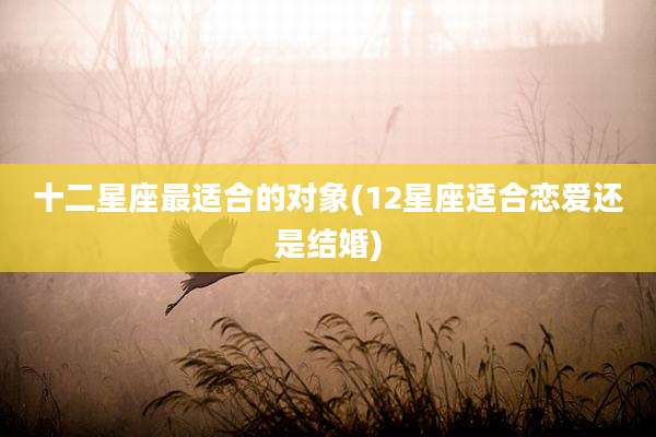 十二星座最适合的对象(12星座适合恋爱还是结婚)