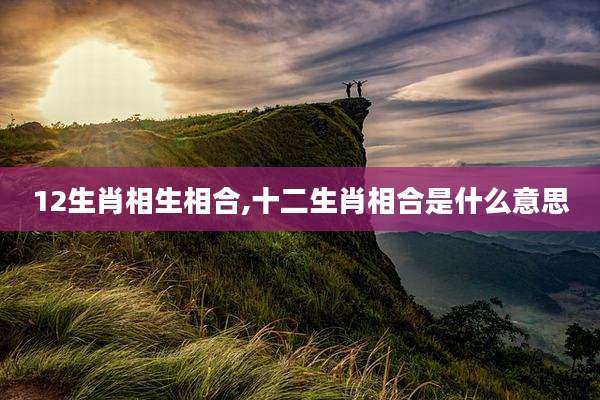 12生肖相生相合,十二生肖相合是什么意思