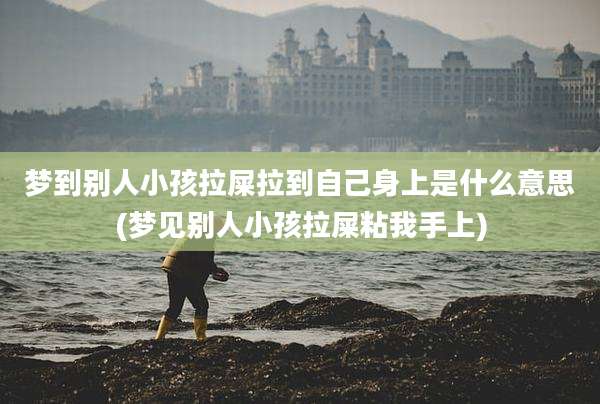 梦到别人小孩拉屎拉到自己身上是什么意思(梦见别人小孩拉屎粘我手上)