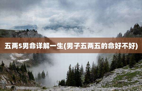 五两5男命详解一生(男子五两五的命好不好)