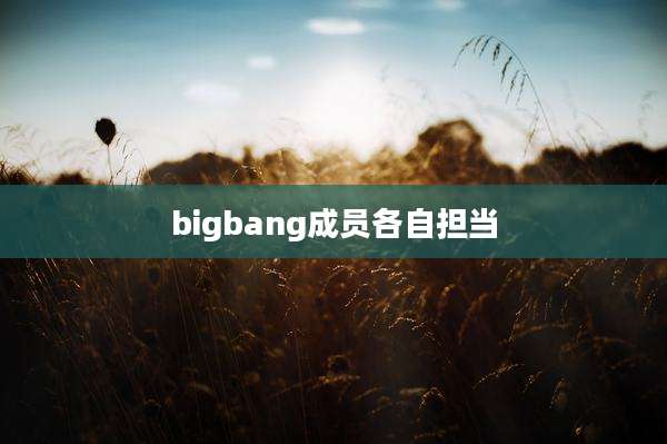 bigbang成员各自担当
