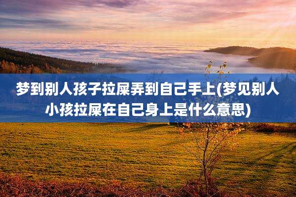 梦到别人孩子拉屎弄到自己手上(梦见别人小孩拉屎在自己身上是什么意思)