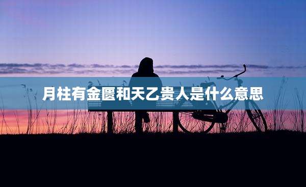 月柱有金匮和天乙贵人是什么意思